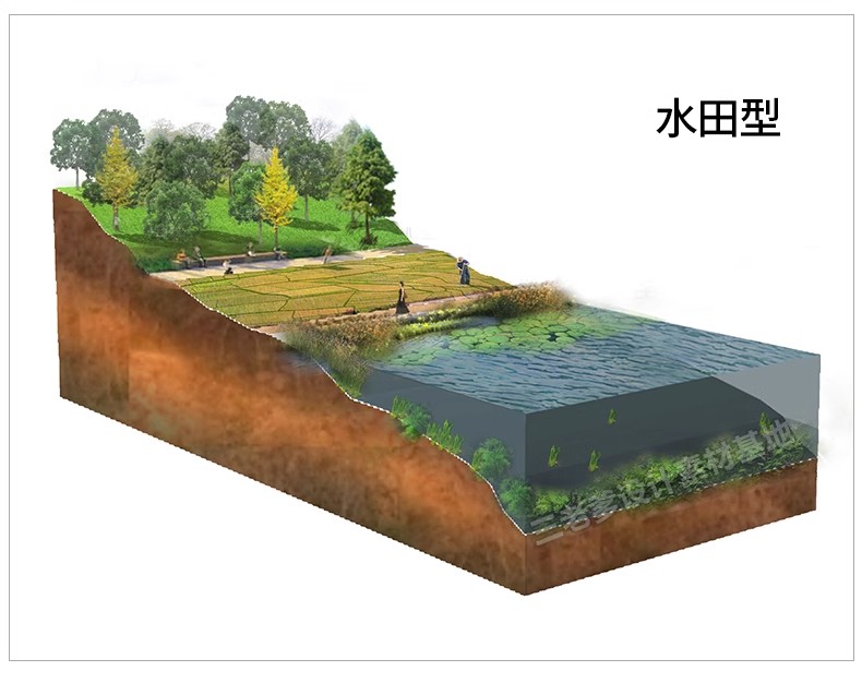 图片[28]-景观ps分析图素材竞赛风海绵城市公园街道驳岸PSD分层剖面图立面-大怪兽分享