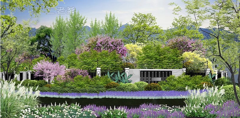 图片[38]-现代园林景观树SU模型植物组团乔木灌木地被花卉sketchup草图大师-大怪兽分享
