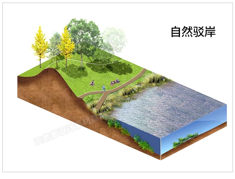 图片[29]-景观ps分析图素材竞赛风海绵城市公园街道驳岸PSD分层剖面图立面-大怪兽分享