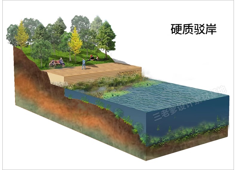 图片[30]-景观ps分析图素材竞赛风海绵城市公园街道驳岸PSD分层剖面图立面-大怪兽分享