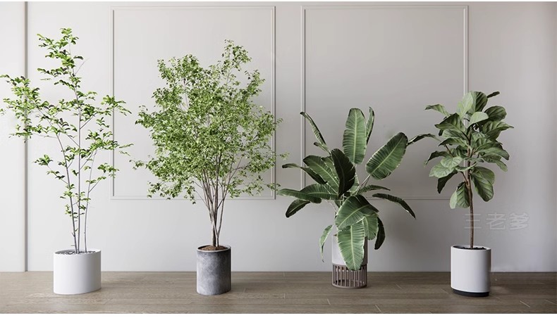 图片[31]-1750套，绿植植物花盆盆栽盆景松树单体草图大师SU模型室内花卉花草素材库-大怪兽分享