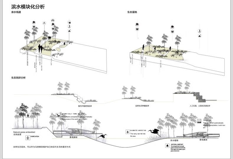景观前期分析图设计ps湿地空间模块PSD素材竞赛风小清新效果图-大怪兽分享