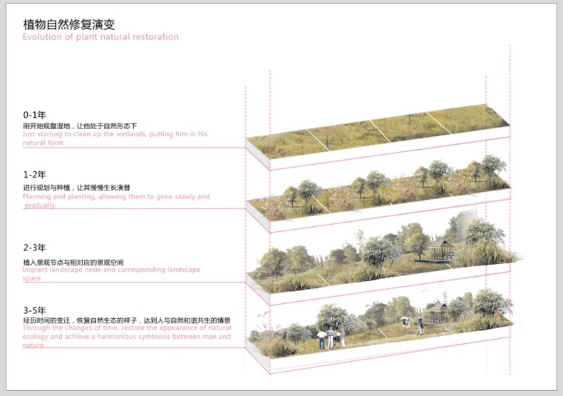 景观前期分析图设计ps湿地空间模块PSD素材竞赛风小清新效果图-大怪兽分享