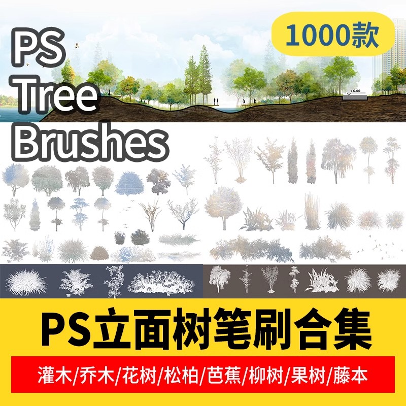 小清新竞赛风景观植物立面树PS笔刷灌木乔木花树松柏芭蕉柳树树木-大怪兽分享