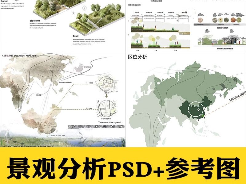景观园林分析图PSD参考意向区位植物小场景内部剖面分析ps素材库-大怪兽分享