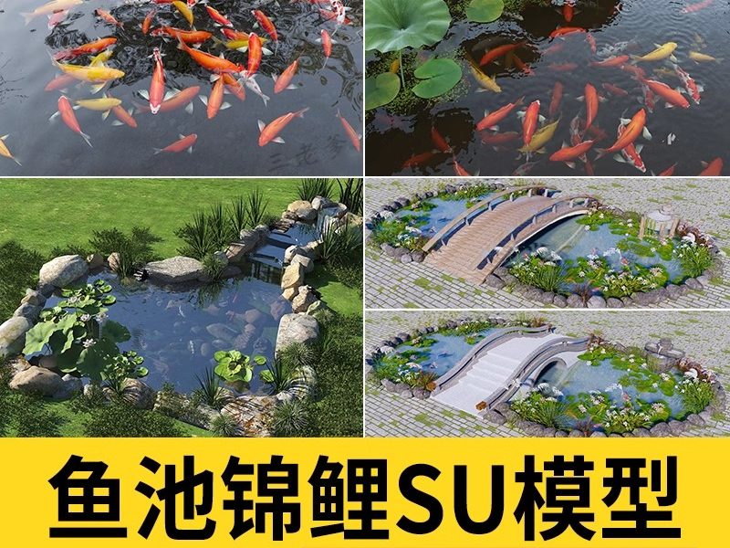 庭院花园鱼池su模型锦鲤园林私家水景假山鱼缸水族箱金鱼草图大师-大怪兽分享