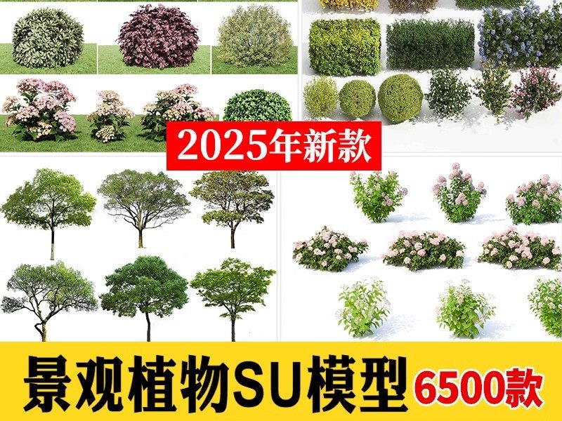 园林景观庭院植物三维真实花草树木乔木花卉灌木草图大师SU模型库-大怪兽分享