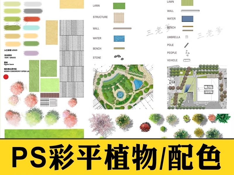 PS园林景观彩色平面图植物树分层草皮花卉纹理配色PSD彩平图素材-大怪兽分享