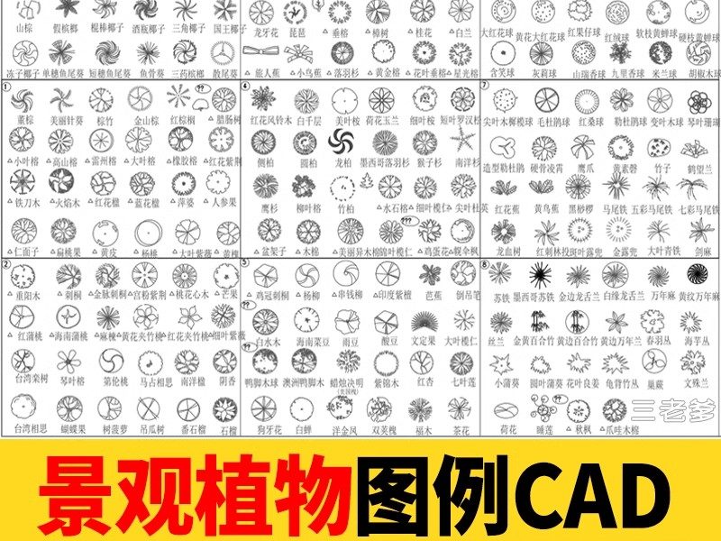 园林景观树木植物CAD施工图库 乔木绿草花灌木植物平面铺装素材块-大怪兽分享
