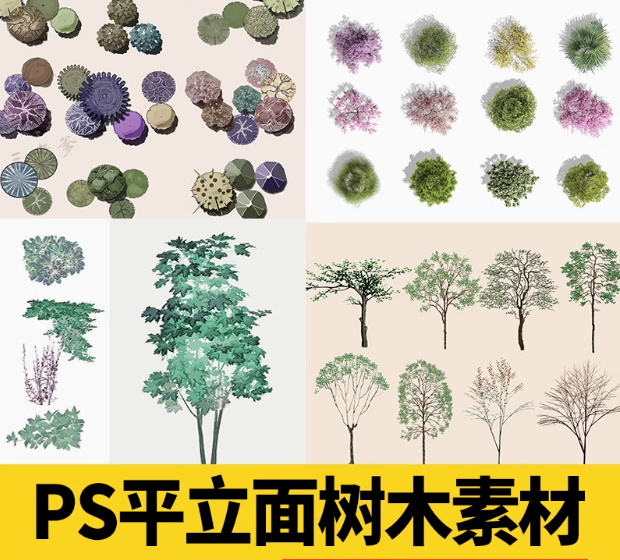 古风植物彩平园林景观复古小清新平面立面树木psd分层免抠PS素材-大怪兽分享