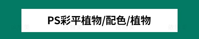 图片[3]-PS园林景观彩色平面图植物树分层草皮花卉纹理配色PSD彩平图素材-大怪兽分享