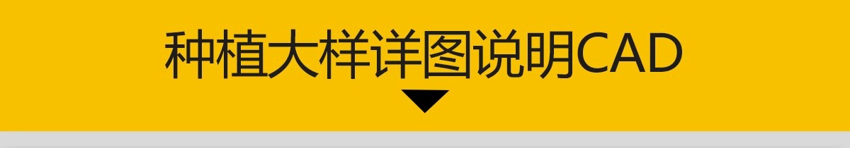 图片[3]-绿化植物种植CAD施工图 园林景观施工大样图详图设计说明图库素材-大怪兽分享