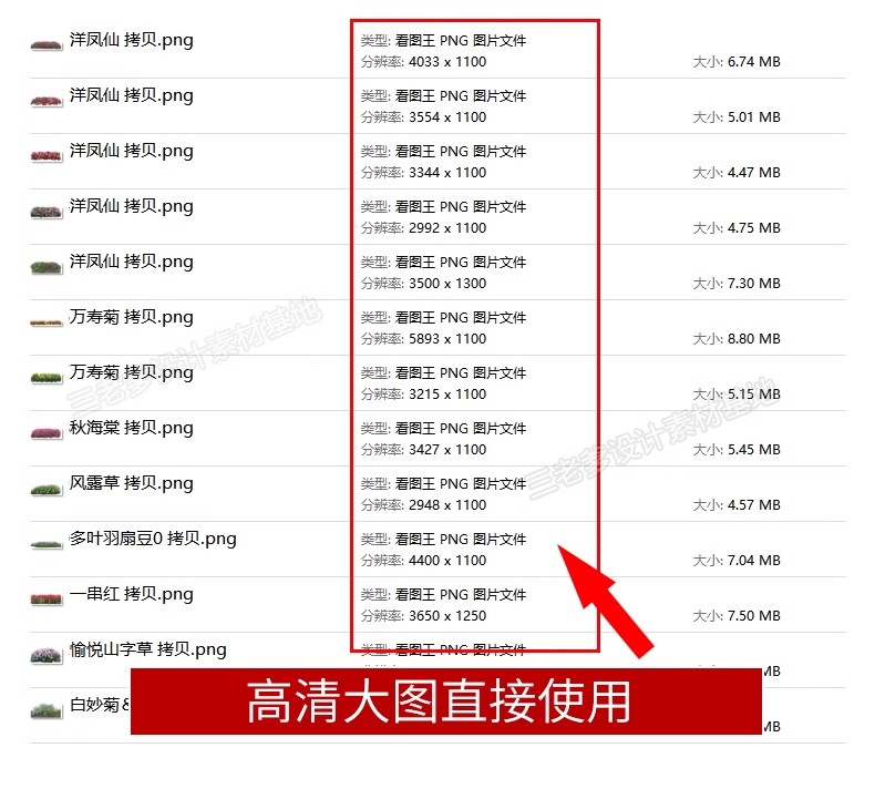 图片[4]-花卉植物procreate花镜 鲜花坛PS效果图PNG免抠高清带名称psd素材-大怪兽分享