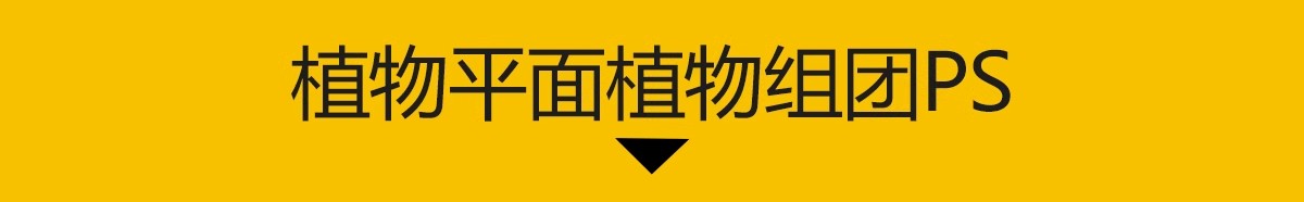 图片[3]-小清新竞赛风景观植物立面树PS笔刷灌木乔木花树松柏芭蕉柳树树木-大怪兽分享