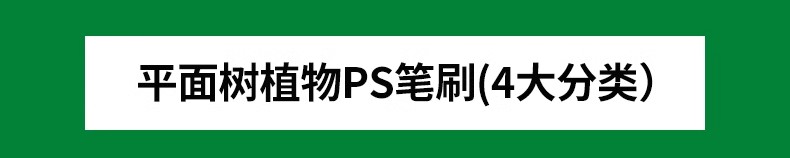 图片[4]-平面树植物ps笔刷小清新水彩树乔木灌木总平面图灰色彩平植物笔刷-大怪兽分享