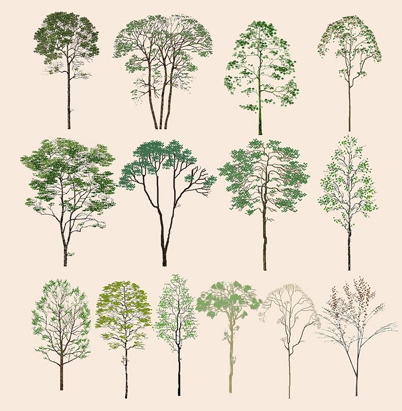 图片[3]-古风植物彩平园林景观复古小清新平面立面树木psd分层免抠PS素材-大怪兽分享