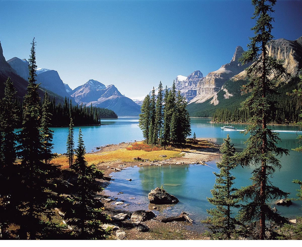 图片[4]-远景山背景植物树木ps素材 树林丛林配景树园林景观效果图psd免抠-大怪兽分享