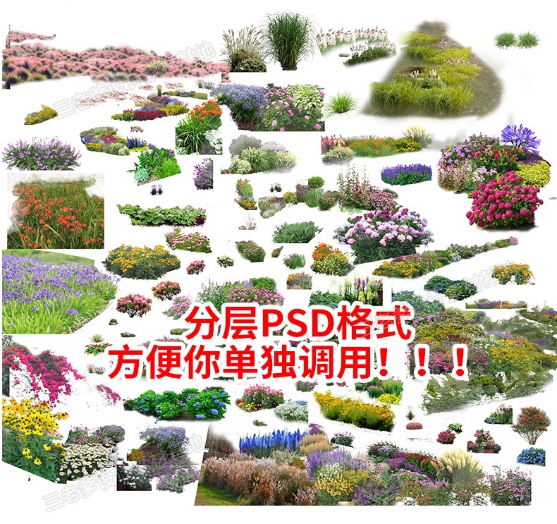 图片[4]-PS花镜花境灌木花丛组团设计组合花卉植物配置效果图psd免扣素材-大怪兽分享