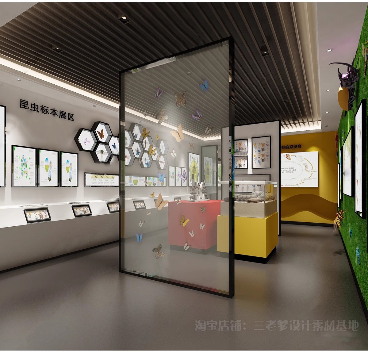 图片[4]-动物植物展厅展览馆草图大师科普标本花卉昆虫展示墙博物馆SU模型-大怪兽分享
