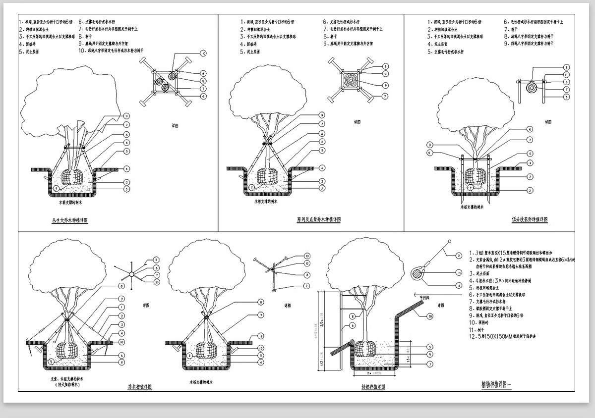 图片[4]-绿化植物种植CAD施工图 园林景观施工大样图详图设计说明图库素材-大怪兽分享