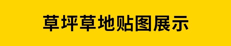 图片[3]-高清草丛草皮草坪草地贴图景观园林PS纹理花镜花海效果图PSD素材-大怪兽分享