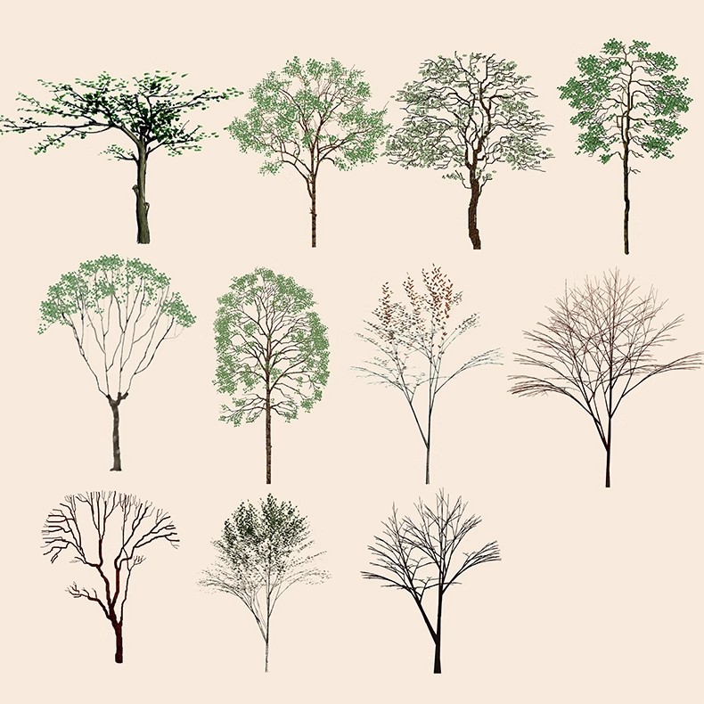 图片[4]-古风植物彩平园林景观复古小清新平面立面树木psd分层免抠PS素材-大怪兽分享