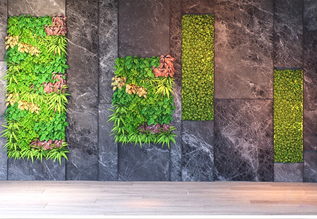 图片[11]-室内植物绿植墙花架垂直绿化绿墙办公室酒店咖啡厅su模型sketchup-大怪兽分享