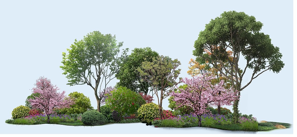 图片[5]-PS花镜花境灌木花丛组团设计组合花卉植物配置效果图psd免扣素材-大怪兽分享