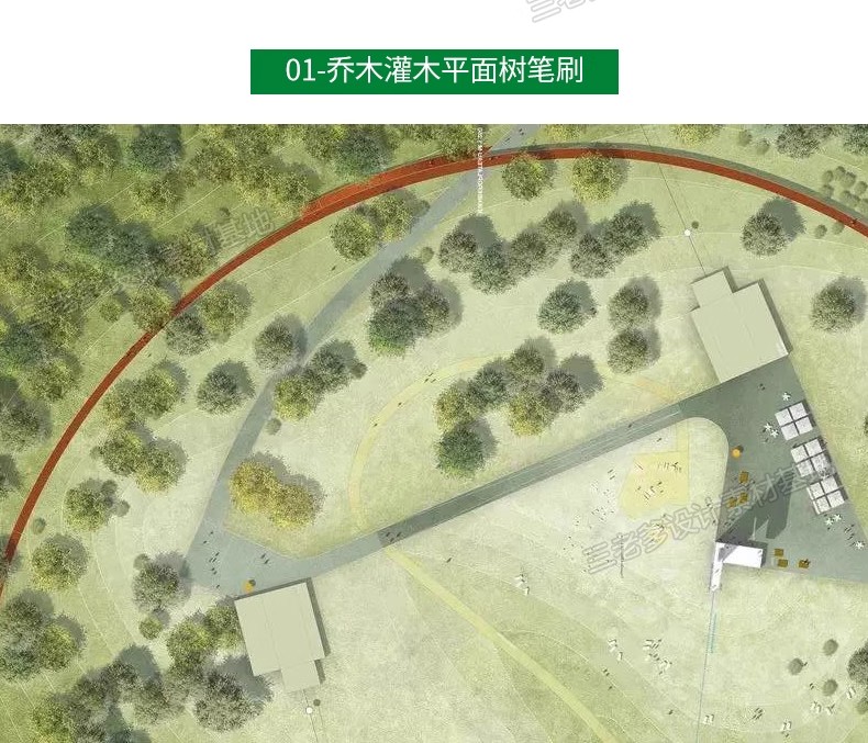 图片[6]-平面树植物ps笔刷小清新水彩树乔木灌木总平面图灰色彩平植物笔刷-大怪兽分享