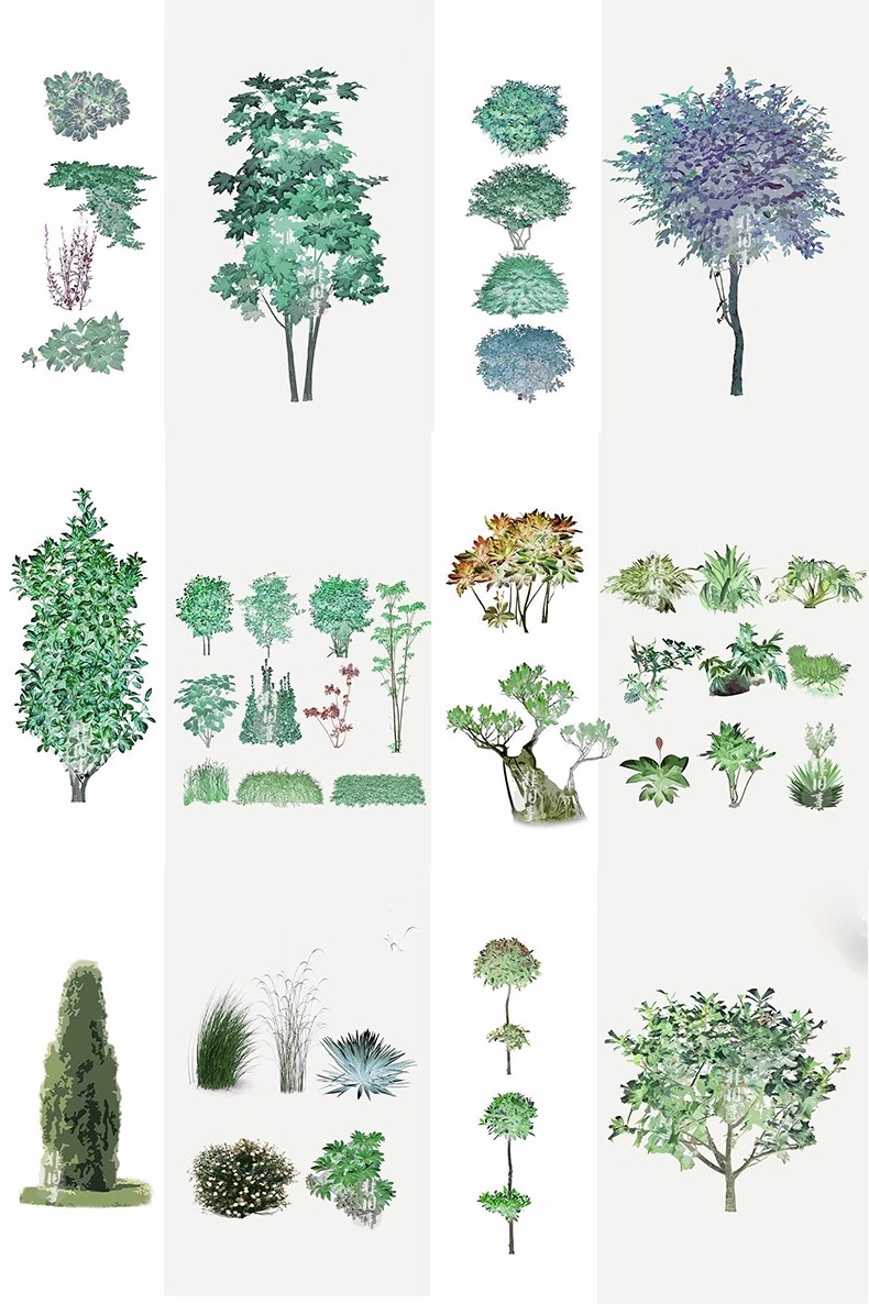 图片[5]-古风植物彩平园林景观复古小清新平面立面树木psd分层免抠PS素材-大怪兽分享