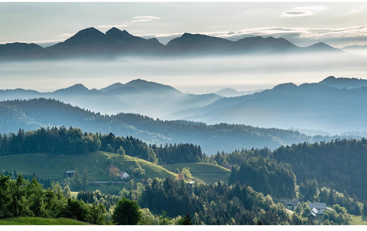 图片[6]-远景山背景植物树木ps素材 树林丛林配景树园林景观效果图psd免抠-大怪兽分享