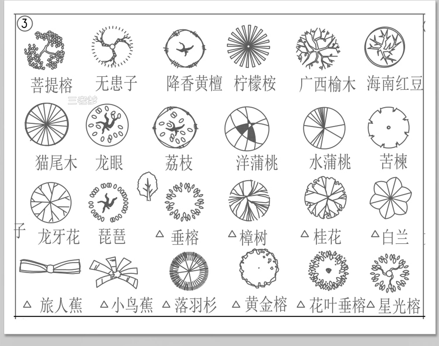 图片[6]-园林景观树木植物CAD施工图库 乔木绿草花灌木植物平面铺装素材块-大怪兽分享