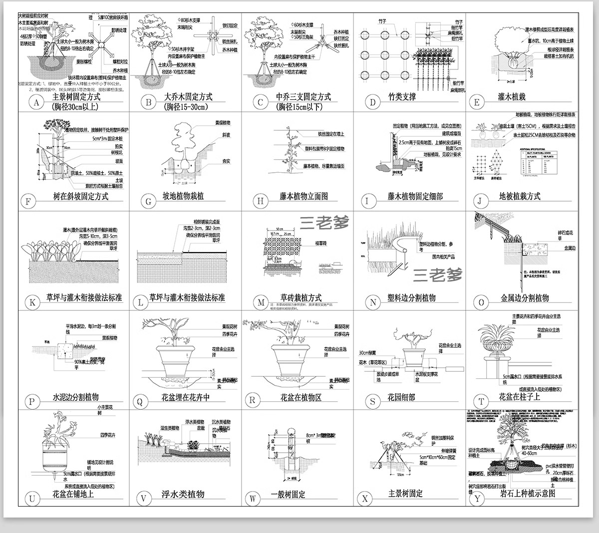 图片[6]-绿化植物种植CAD施工图 园林景观施工大样图详图设计说明图库素材-大怪兽分享