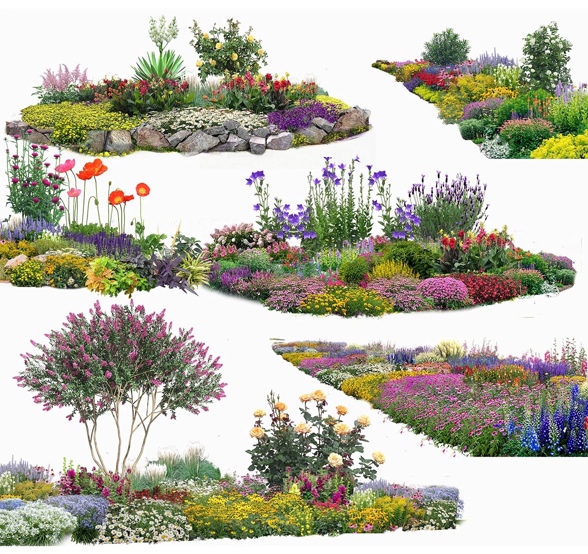 图片[5]-花坛树池ps素材库景观花镜花草植物乔灌木造型组团psd免抠效果图-大怪兽分享