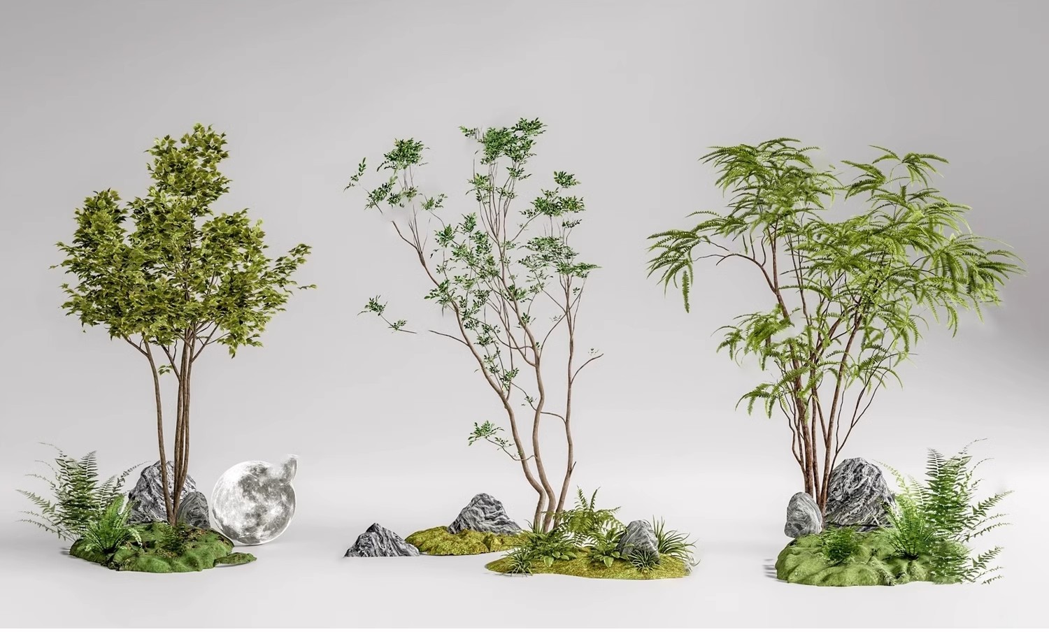 图片[6]-SU草图大师模型园林建筑室外景观树木乔木三维植物sketchup素材库-大怪兽分享