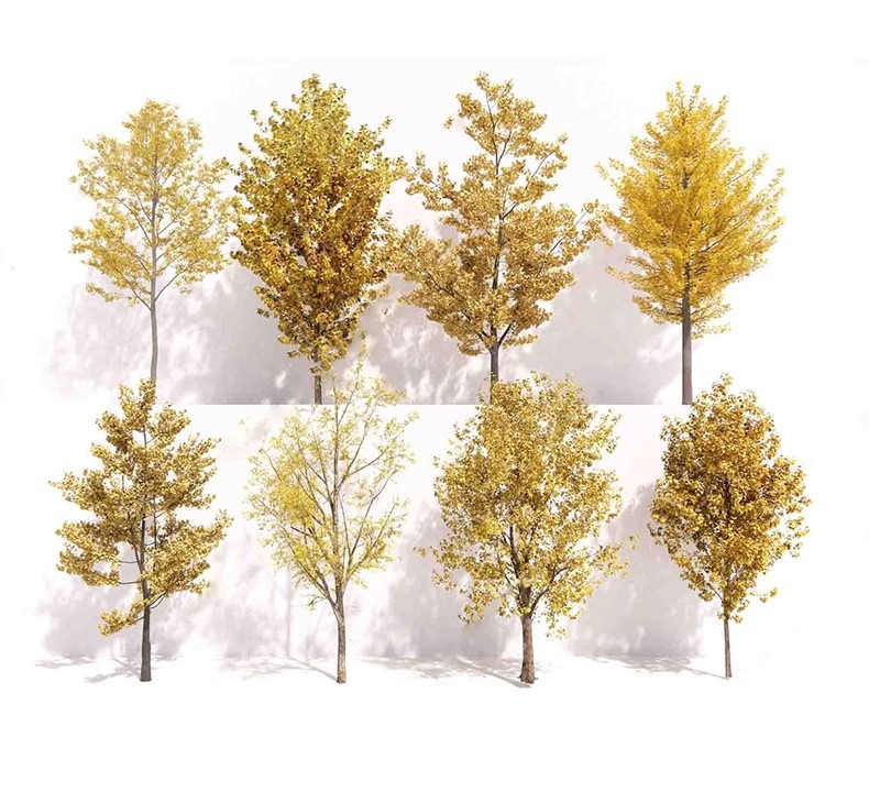 图片[7]-园林景观庭院植物三维真实花草树木乔木花卉灌木草图大师SU模型库-大怪兽分享