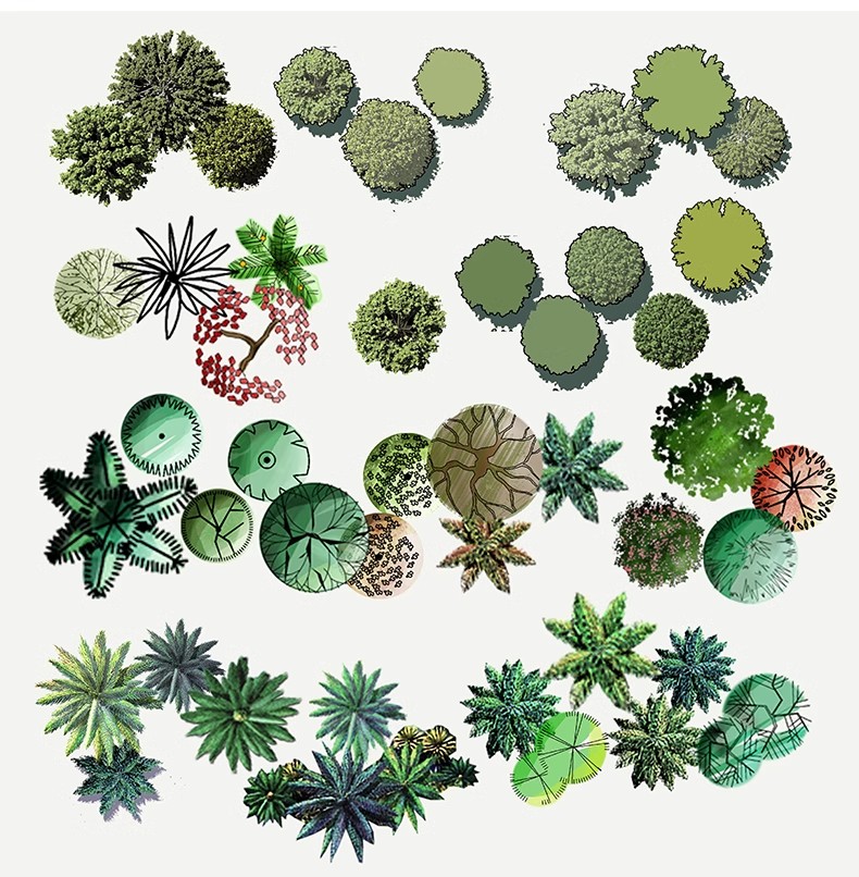 图片[6]-古风植物彩平园林景观复古小清新平面立面树木psd分层免抠PS素材-大怪兽分享