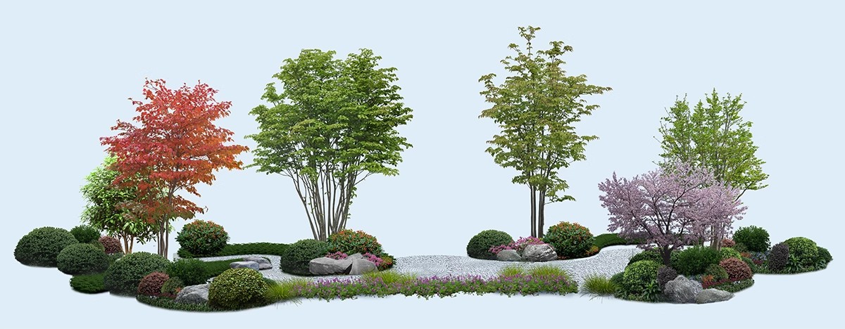 图片[7]-PS花镜花境灌木花丛组团设计组合花卉植物配置效果图psd免扣素材-大怪兽分享