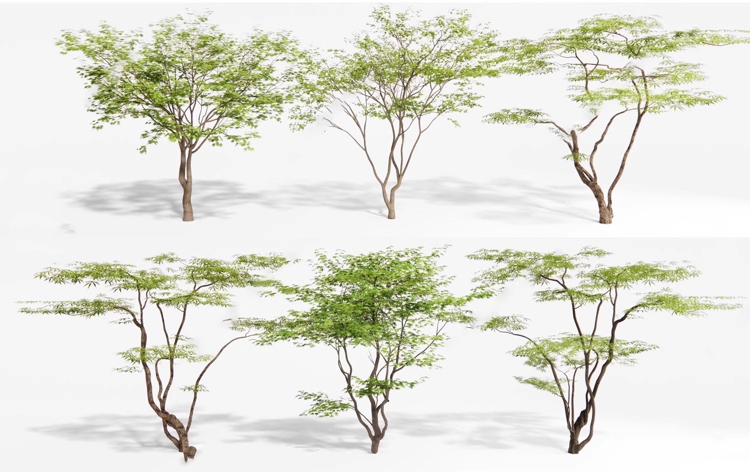图片[7]-SU草图大师模型园林建筑室外景观树木乔木三维植物sketchup素材库-大怪兽分享