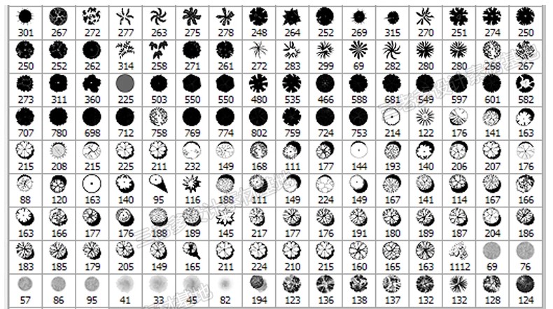 图片[8]-平面树植物ps笔刷小清新水彩树乔木灌木总平面图灰色彩平植物笔刷-大怪兽分享