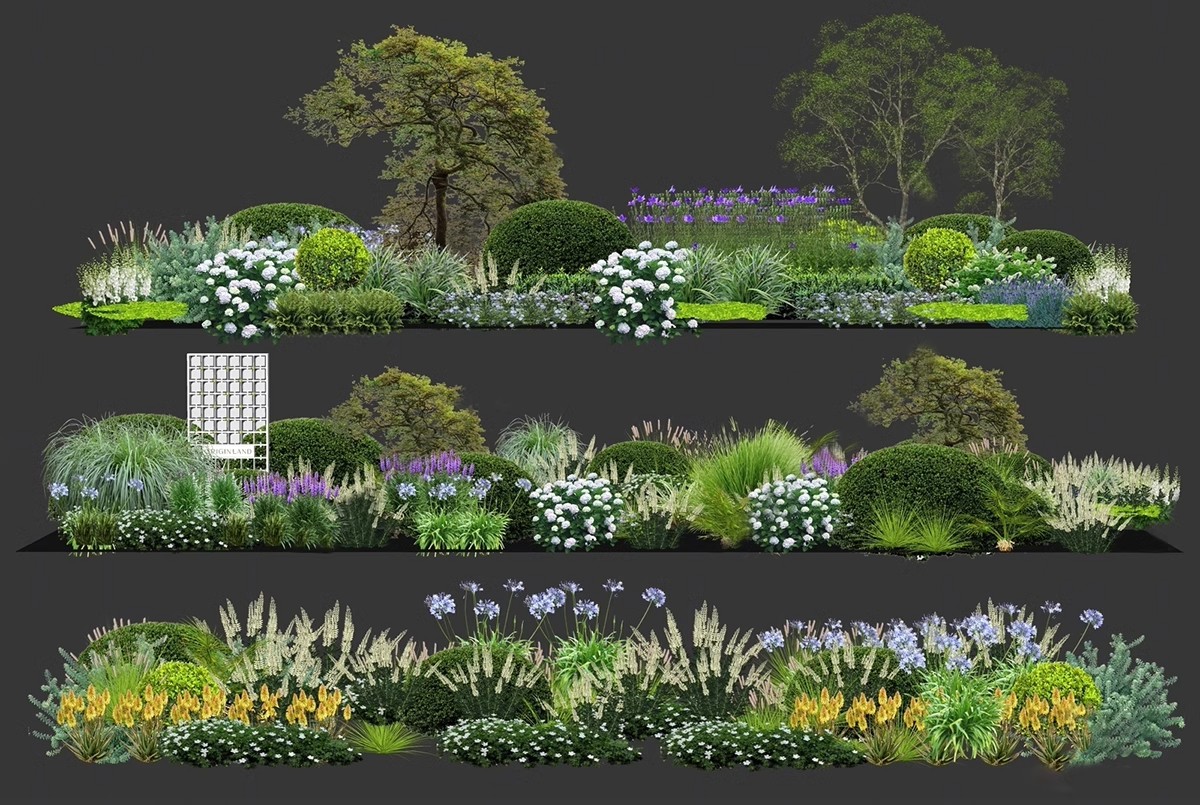 图片[8]-园林景观庭院植物三维真实花草树木乔木花卉灌木草图大师SU模型库-大怪兽分享