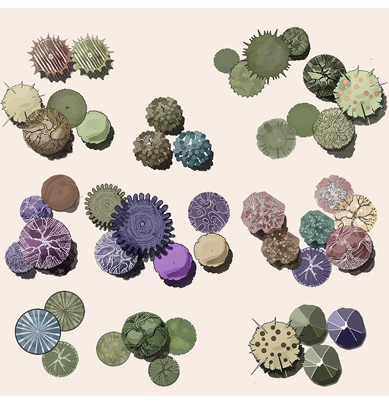 图片[7]-古风植物彩平园林景观复古小清新平面立面树木psd分层免抠PS素材-大怪兽分享