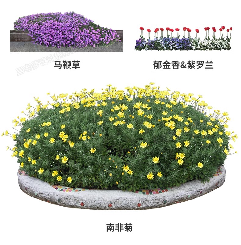 图片[8]-花卉植物procreate花镜 鲜花坛PS效果图PNG免抠高清带名称psd素材-大怪兽分享