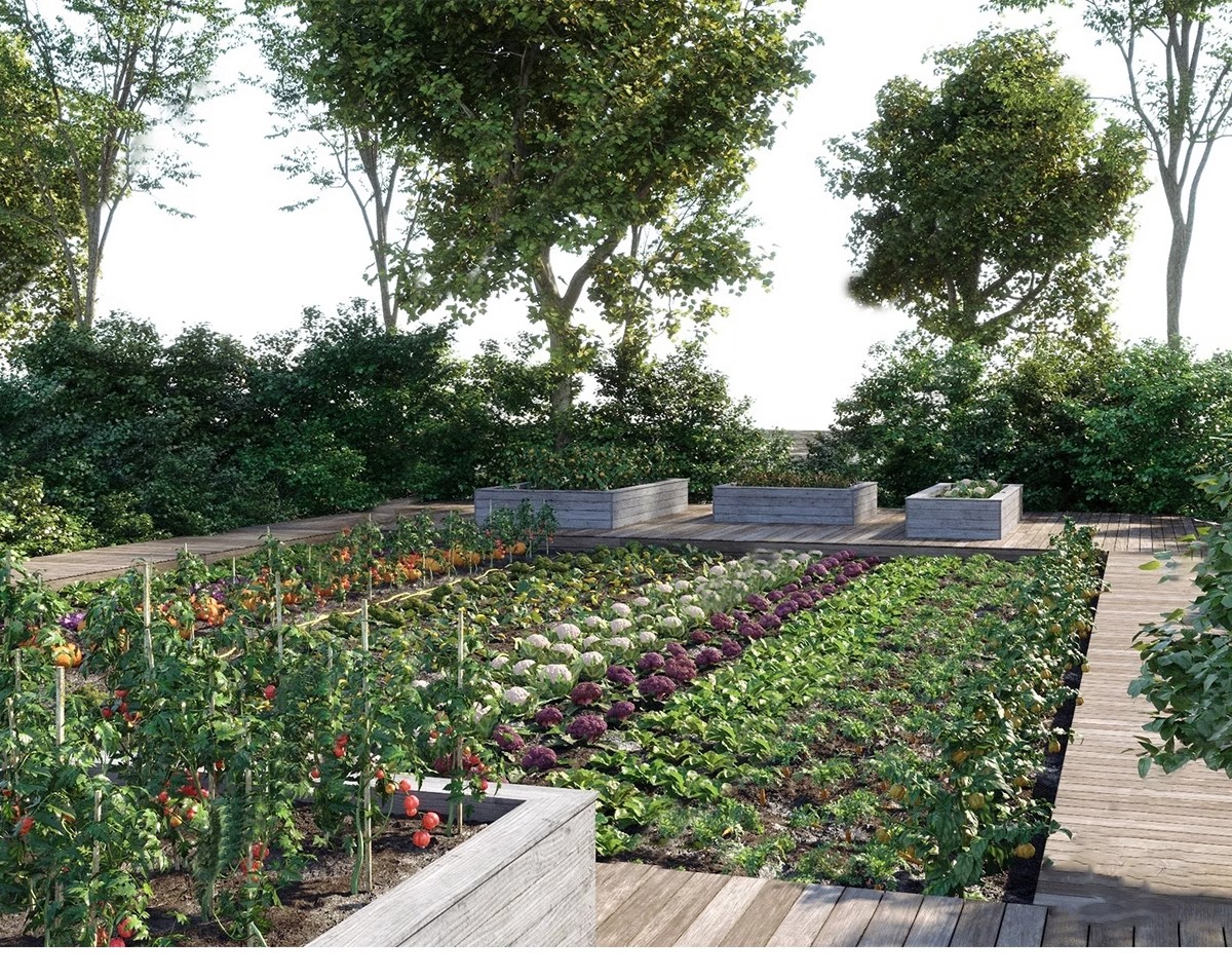 图片[8]-农村乡村田园庭院子蔬菜种植园农家乐菜地菜园栅栏草图大师SU模型-大怪兽分享