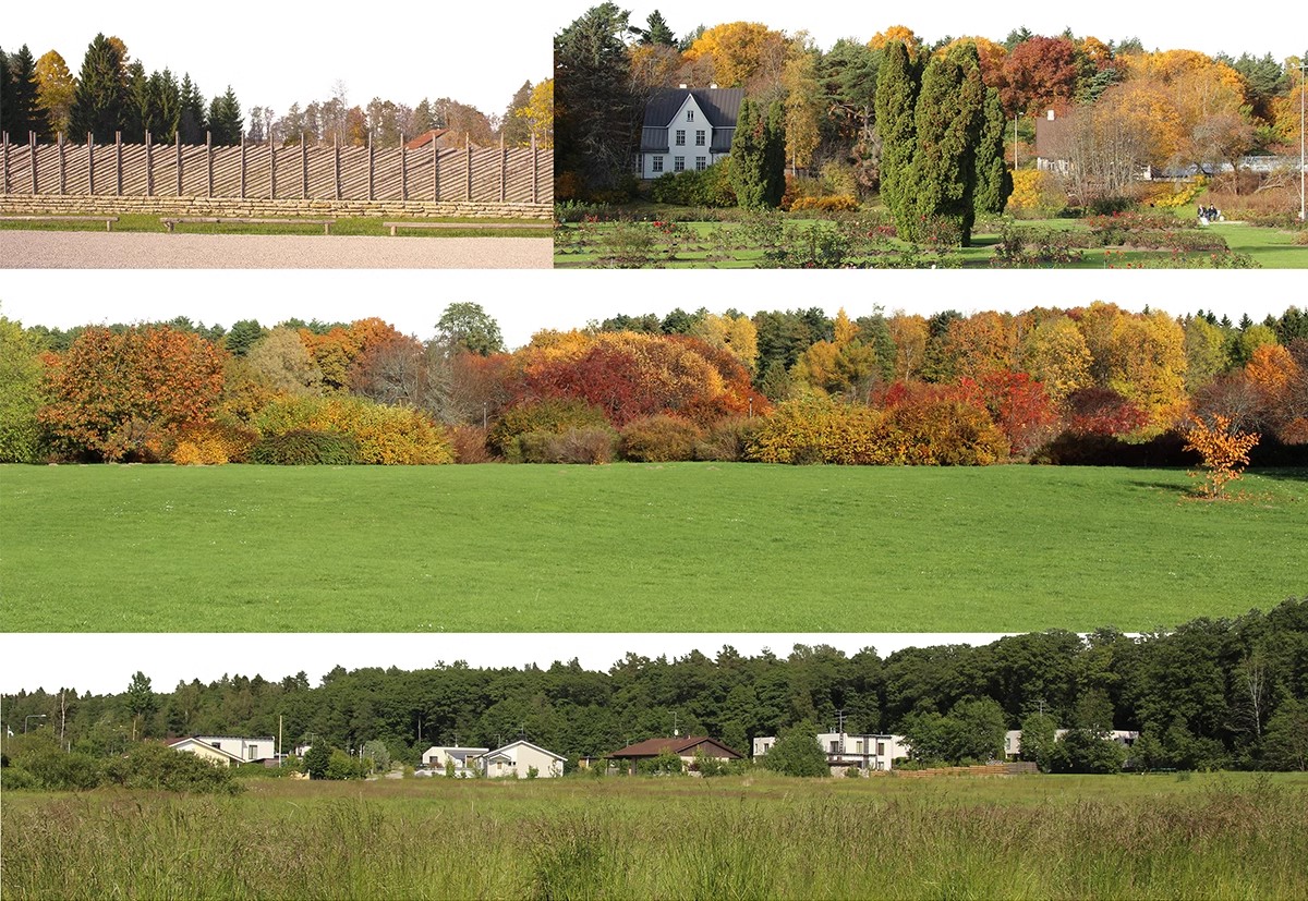 图片[9]-远景山背景植物树木ps素材 树林丛林配景树园林景观效果图psd免抠-大怪兽分享