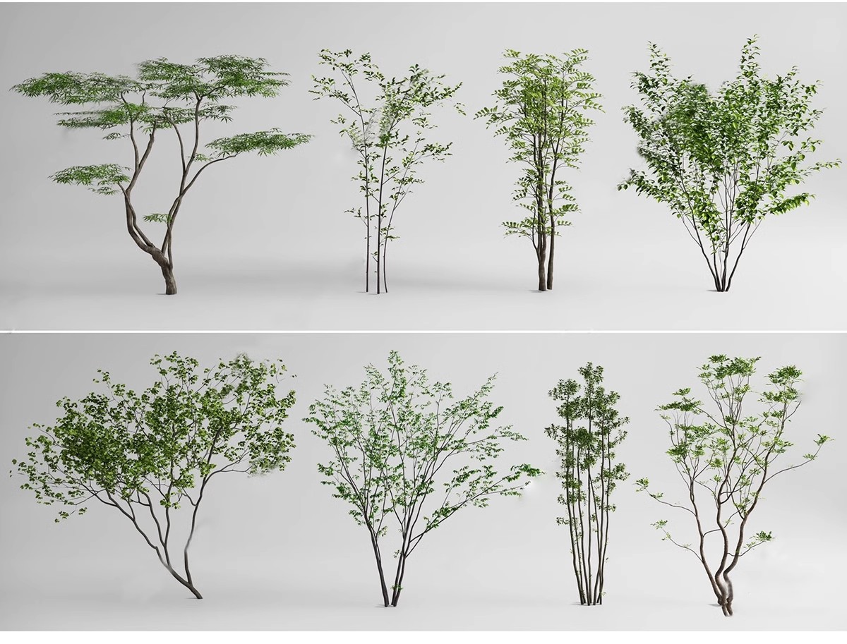 图片[9]-SU草图大师模型园林建筑室外景观树木乔木三维植物sketchup素材库-大怪兽分享