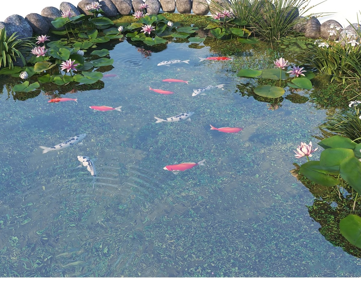 图片[10]-庭院花园鱼池su模型锦鲤园林私家水景假山鱼缸水族箱金鱼草图大师-大怪兽分享