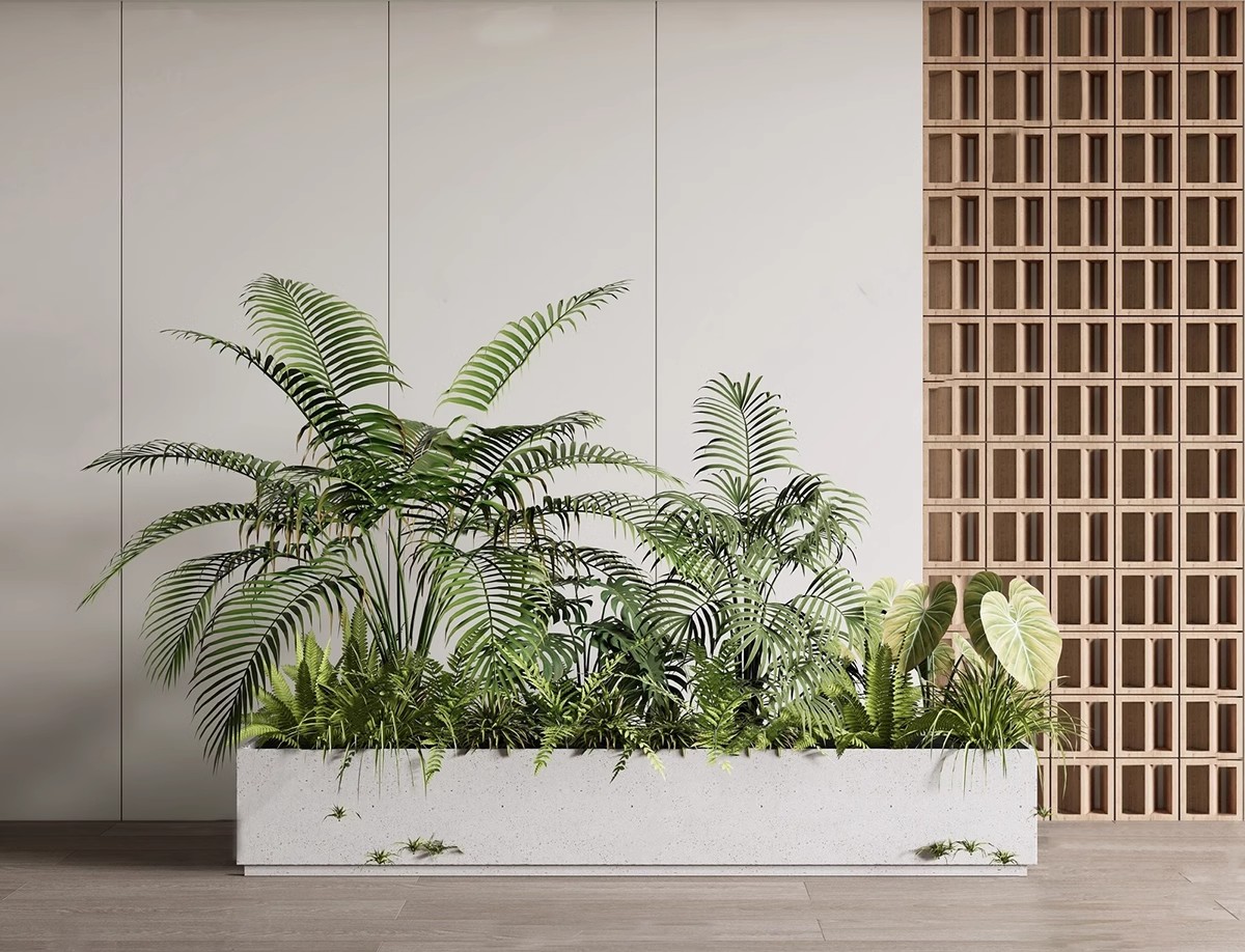 图片[9]-园林景观庭院植物三维真实花草树木乔木花卉灌木草图大师SU模型库-大怪兽分享