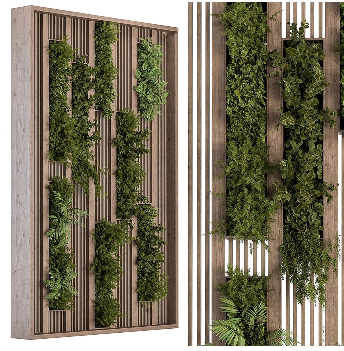 图片[16]-室内植物绿植墙花架垂直绿化绿墙办公室酒店咖啡厅su模型sketchup-大怪兽分享