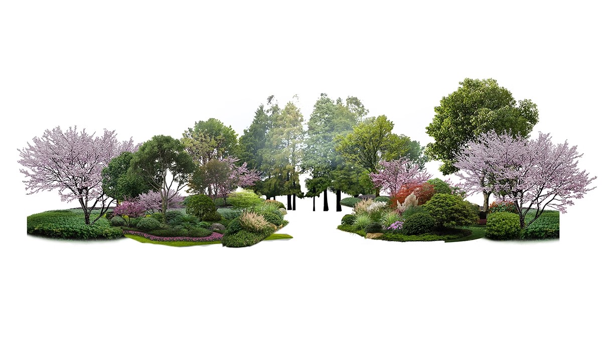 图片[10]-PS花镜花境灌木花丛组团设计组合花卉植物配置效果图psd免扣素材-大怪兽分享